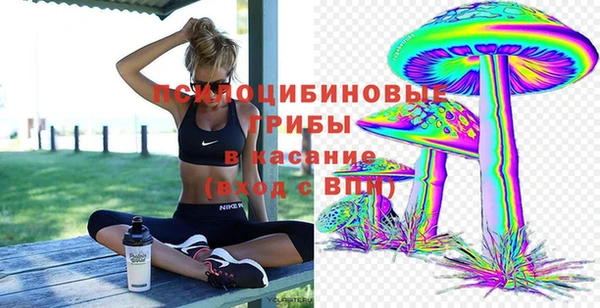 твердый Волосово