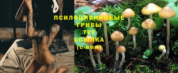 твердый Волосово