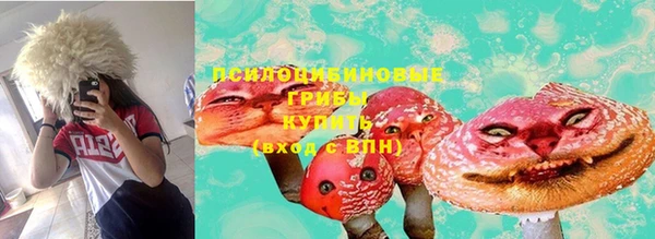 ГАЛЛЮЦИНОГЕННЫЕ ГРИБЫ Володарск